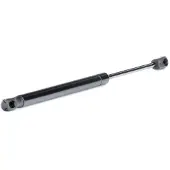 RIDEX Heckklappendämpfer AUDI 219G0597 855827552B,855827552F,855827552G