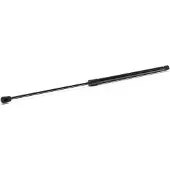 RIDEX 219G1110 Gasfeder Heckklappendämpfer für FIAT BRAVO II (198) 668mm