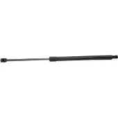 RIDEX 219G0196 Gasfeder Heckklappendämpfer für FIAT STILO Multi Wagon (192) 603mm