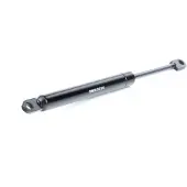 RIDEX 219G0700 Gasfeder Heckklappendämpfer für ALFA ROMEO ALFASUD Sprint (902.A) 305mm
