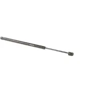 RIDEX 219G0912 Gasfeder Heckklappendämpfer für VW Jetta IV (162, 163, AV3, AV2) 489mm