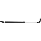 RIDEX Heckklappendämpfer TOYOTA 219G0846 6896019545