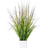 Creativ Green Kunstpflanze Blutgras, im Topf, Höhe 61 cm