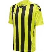 Hummel Core Xk Striped Kurzarm-t-shirt