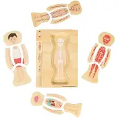 Bigjigs Toys Anatomie-Puzzle - Junge