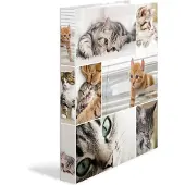 Herma Ringbuch A4 Motiv