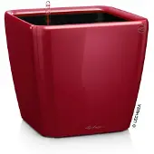 Lechuza 'Quadro LS 21', scarlet-rot, ca. 21 x 21 x H 20 cm