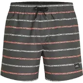 O'Neill Badehose "CALI FIRST 15'' SWIMSHORTS", Herren, Gr. M, N-Gr, grau (grau ), Obermaterial: 100% Polyester, Badehosen Badehose, mit Seiten- und Gesäßtaschen