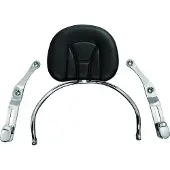 Kuryakyn Revolution Gl1800 Rückenlehne Silber Silber One Size