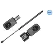 Meyle 140 910 0106 Gasfeder Heckklappendämpfer für VW Golf VII Variant (BA5, BV5) 548mm