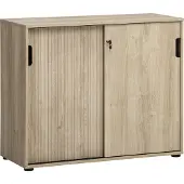 Schildmeyer Emmik Aktenschrank