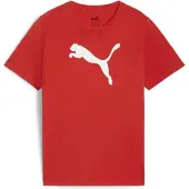 Puma Teamrise T-Shirt Kinder - Rot