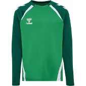 Hummel Hmllead 2.0 Crew Sweat Kids - jelly bean/evergreen, Größe:116