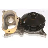 TRISCAN Wasserpumpe 8600 11060