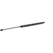 RIDEX 219G1025 Gasfeder Heckklappendämpfer für VW Caddy III Kombi (2KB, 2KJ, 2CB, 2CJ)
