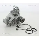 TRISCAN Wasserpumpe 8600 80019