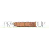 PRASCO Blinkleuchte TY2814303