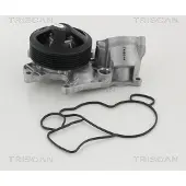 TRISCAN Wasserpumpe 8600 11040