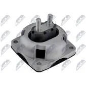 NTY Motorlager Unten Hinten passend für MERCEDES-BENZ M-Klasse (W166) ZPS-ME-093