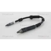 TRISCAN Bremsschlauch 8150 16318