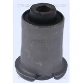 TRISCAN Lagerung, Lenker 8500 17808