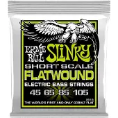Ernie Ball 2818