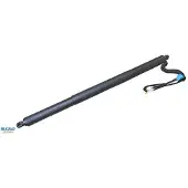 BUGIAD BRD50707 Gasfeder Heckklappendämpfer für BMW X3 (F25)