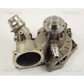 TRISCAN Wasserpumpe 8600 11013