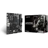 Biostar A520mt Hauptplatine