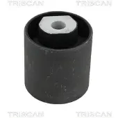 TRISCAN Lagerung, Lenker 8500 17814