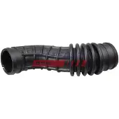 Fast Sports Nutrition Kühlerschlauch FT61675
