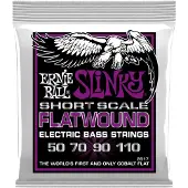 Ernie Ball 2817