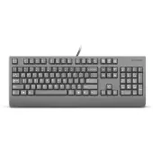 Lenovo Preferred Pro II, Volle Größe (100%), Kabelgebunden, USB, Plunger key switch, Schwarz