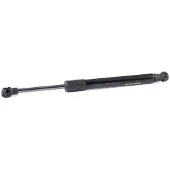 RIDEX 219G0894 Gasfeder Heckklappendämpfer für BMW Z4 Roadster (E89) 283mm 173mm