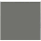 vidaXL Verdunkelungsrollo Grau 160x150cm Stoffbreite 156,6cm Polyester