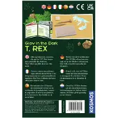 Kosmos Glow-In-The-Dark T-Rex Ausgrabungsset