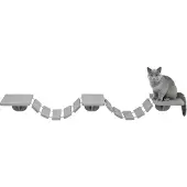 Trixie Katzen Klettern Leiter Hoch