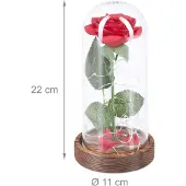 Relaxdays Ewige Rose