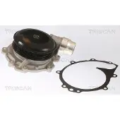 TRISCAN Wasserpumpe 8600 23089