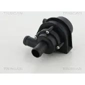 TRISCAN Wasserpumpe 8600 29076