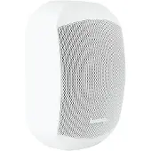 Biamp Mask4ct
