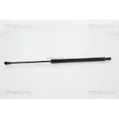 TRISCAN Gasfeder, Koffer-/Laderaum 8710 25255