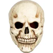 Toychamp Totenkopf Maske des Grauens