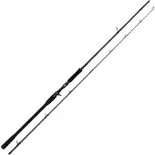 Westin W4 Powershad-t 2nd Baitcastrute
