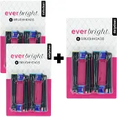 Everbright DailyClean Aufsteckbürsten Schwarz – 12 Stück