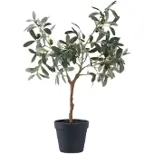House Nordic Olive