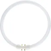 Gloeilampgoedkoop.nl - Leuchtmittel 22W / 830 FC Kreisförmig Röhre T5 2GX13