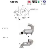 As Katalysator 30229