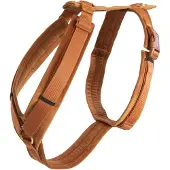 Kentucky Dogwear Hundegeschirr Aktiv Velvet