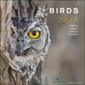 Bekking & Blitz Vögel Kalender 2027